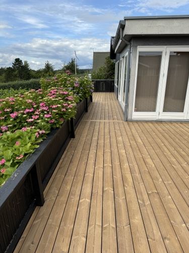 træterrasse foran sort hus med røde døre og trin